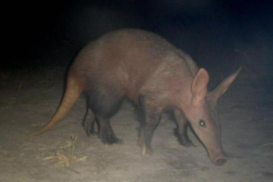 Thakadu Bush Camp Villa Ghanzi Dış mekan fotoğraf