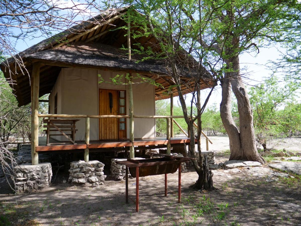 Thakadu Bush Camp Villa Ghanzi Dış mekan fotoğraf