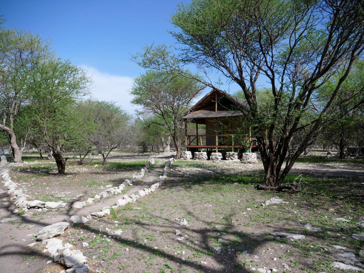 Thakadu Bush Camp Villa Ghanzi Dış mekan fotoğraf